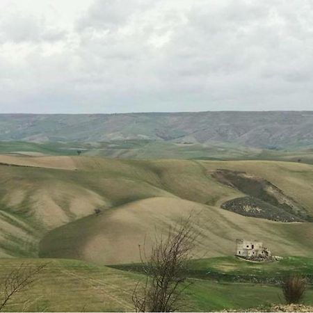 B&B Mantegna Irsina Mt المظهر الخارجي الصورة