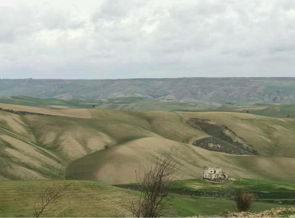 B&B Mantegna Irsina Mt المظهر الخارجي الصورة